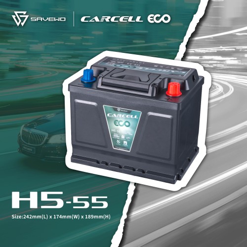 SAVEWO CarCell ECO H5-55 救世汽車電池